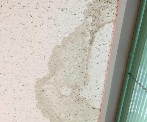 天井の雨染み
