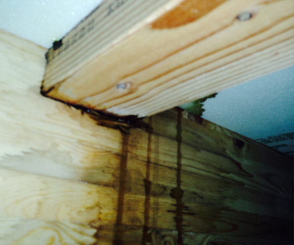 天井裏の雨漏り