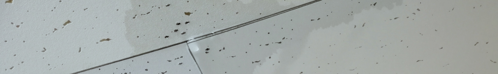 雨漏り修理イメージ